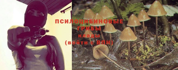 скорость Баксан